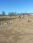 20140412_170258.jpg